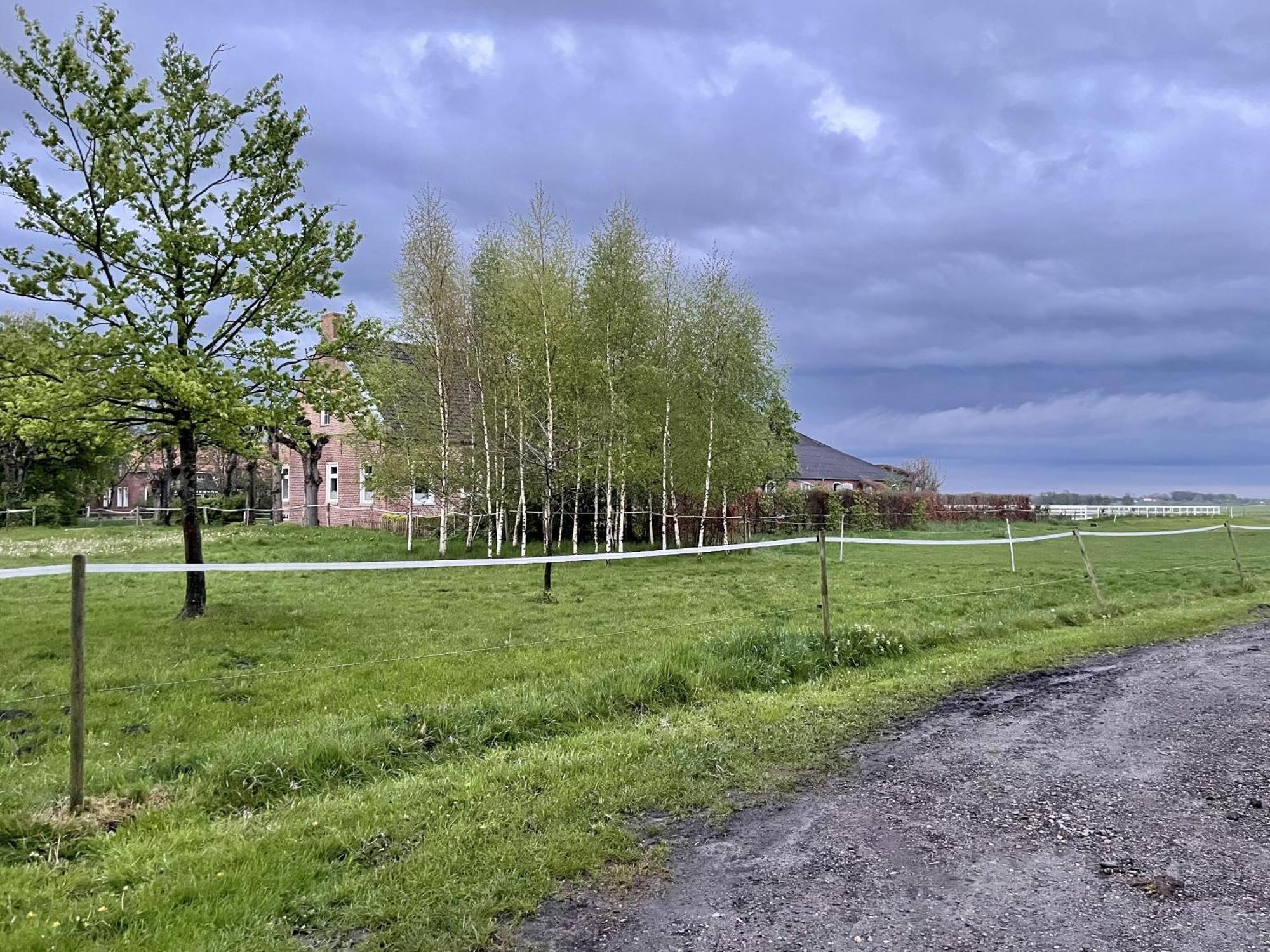 Вилла Steinhaus Hof Bunde  Экстерьер фото