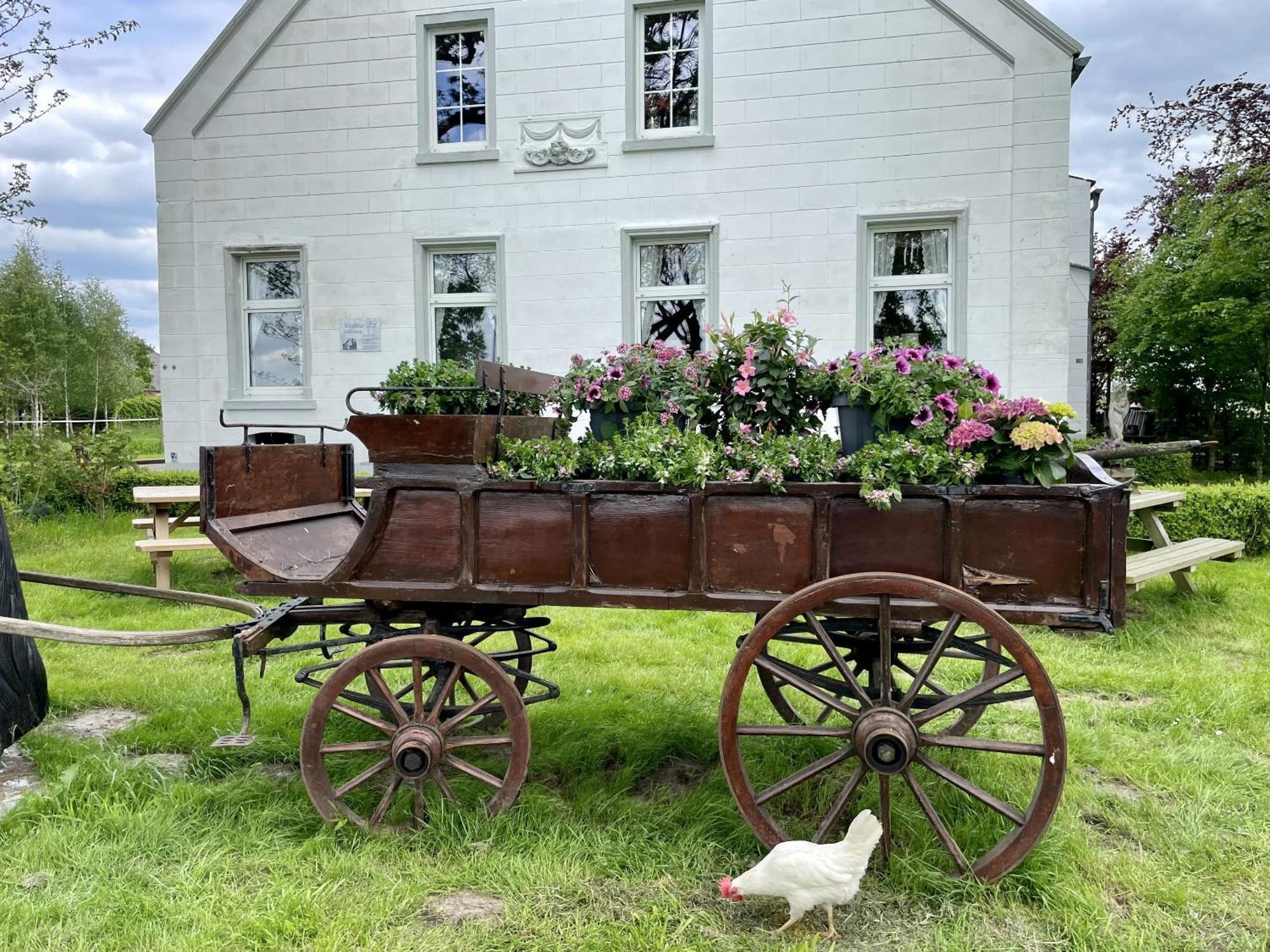 Вилла Steinhaus Hof Bunde  Экстерьер фото